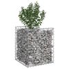 vidaXL Gabion upph&ouml;jd s&auml;ng Silver 50 x 50 x 60 cm Galvaniserat St&aring;l