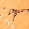 Produktminiatyrbild 4 av 7