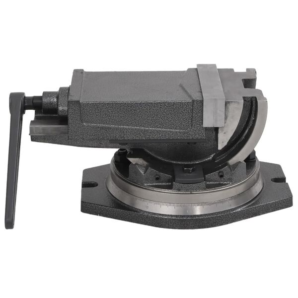 vidaXL Vinklingsbart skruvstycke 2 axlar 160 mm