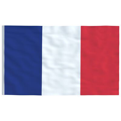 vidaXL Frankrikes flagga och flaggstång 5,55 m aluminium