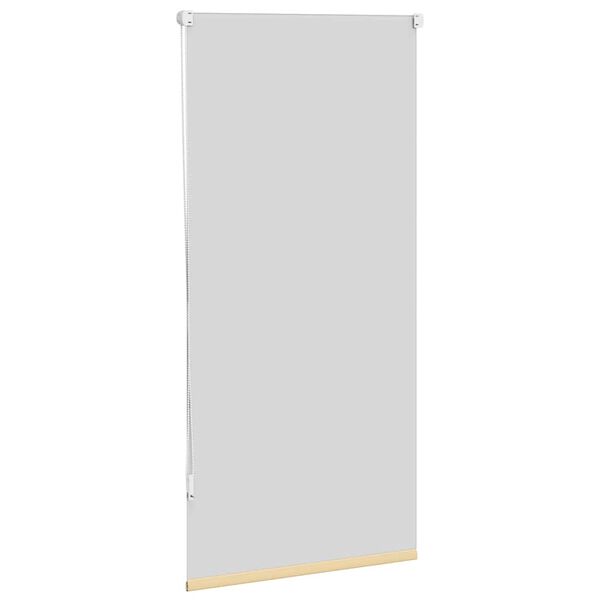 Rullgardin mörkläggande 60x120 cm beige