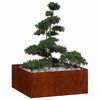 Produktminiatyrbild 3 av 10