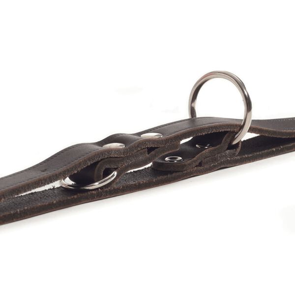 Beeztees Hundkoppel l&auml;der brunt 200x1,8 cm 736402