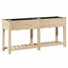 vidaXL Tr&auml;dg&aring;rdsplanterare Beige 161 x 43 x 76,5 cm Massivt Furu