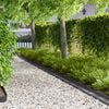 Produktminiatyrbild 2 av 8