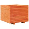 vidaXL Odlingsl&aring;da vaxbrun 60x60x49,5 cm massiv furu