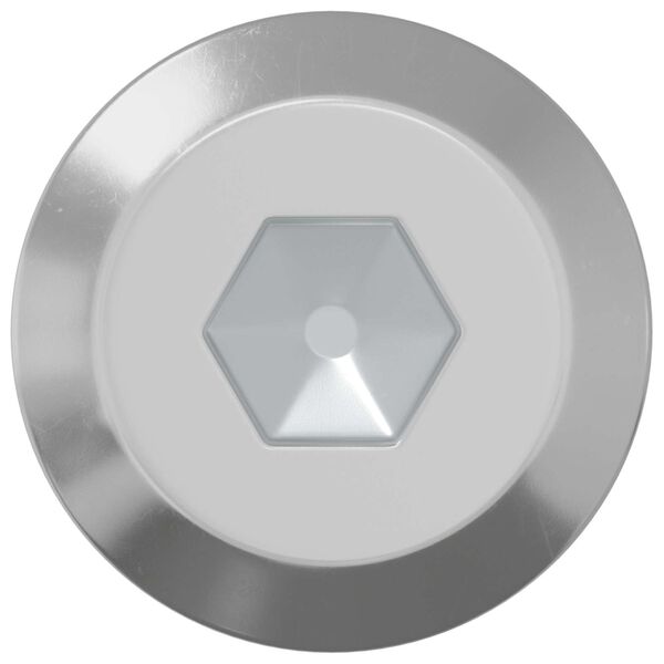 vidaXL Skruv 2 pcs Silver M6 x 100 mm St&aring;l