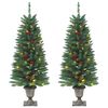 vidaXL Plastgranar 2 st 100 LED gr&ouml;n 120 cm