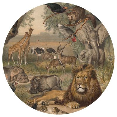 WallArt Tapet cirkelformad Animals of Africa 190 cm