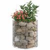 vidaXL Planteringsgabion upphöjd rund galvaniserat stål Ø50x50 cm
