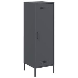 vidaXL H&ouml;gsk&aring;p antracit 36x39x113 cm st&aring;l