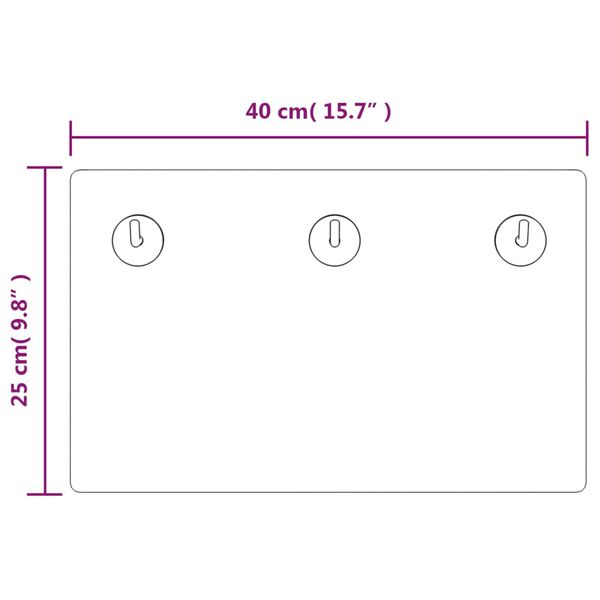 vidaXL V&auml;ggmonterad kl&auml;dh&auml;ngare 40x25 cm h&auml;rdat glas strand