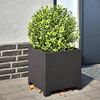 Produktminiatyrbild 2 av 10