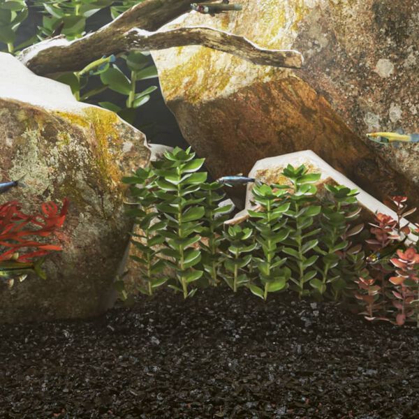 Visar produktbild 2 av 5