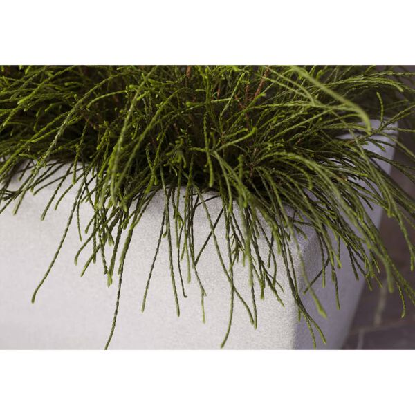 Capi Blomkruka Arc Granite rektangulär 60x35x40 cm elfenben