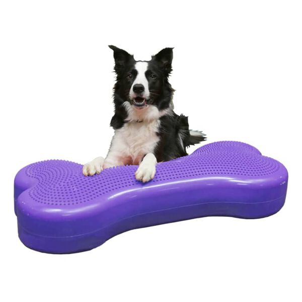 FitPAWS Balansplatta f&ouml;r husdjur Giant K9FITbone PVC lila