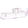 vidaXL B&auml;ddsoffa 2-sits med tv&aring; kuddar rosa sammet