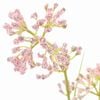 Produktminiatyrbild 2 av 2