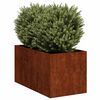 Produktminiatyrbild 3 av 10