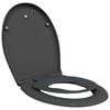 vidaXL Toalettstol Antracit 47 x 37 x 4 cm Duroplast