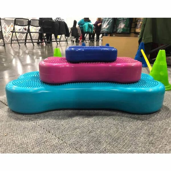 FitPAWS Balansplatta för husdjur Giant K9FITbone PVC aqua