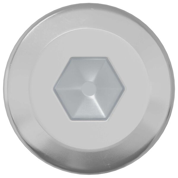 vidaXL L&aring;gskruv Enf&auml;rgad 2 pcs Silver M6 x 12 mm St&aring;l