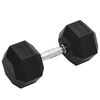 vidaXL Hantel 20 kg gjutj&auml;rn