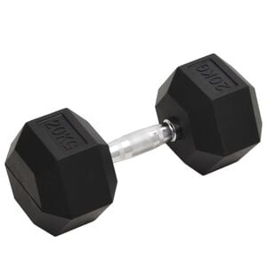 vidaXL Hantel 20 kg gjutj&auml;rn