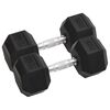 vidaXL Hantlar 2 st 10 kg totalt gjutj&auml;rn