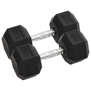vidaXL Hantlar 2 st 10 kg totalt gjutj&auml;rn