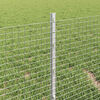 Produktminiatyrbild 4 av 13