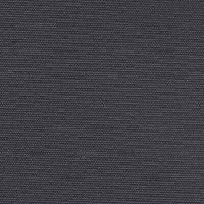 vidaXL Infällbar sidomarkis svart 160x1200 cm