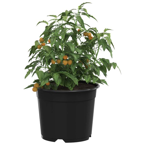 Visar produktbild 3 av 11