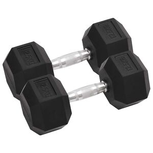vidaXL Hantlar 2 st 12,5 kg totalt gjutj&auml;rn