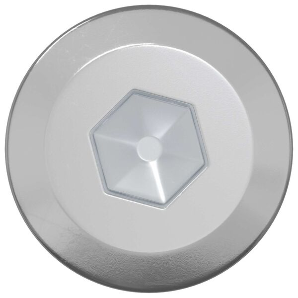 vidaXL Tr&auml;skruvar 12 pcs Silver M6 x 70 mm St&aring;l