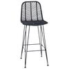 vidaXL Barstol 2 pcs Svart 44,5 x 53 x 111 cm Rattan och J&auml;rn