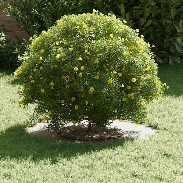 vidaXL l&auml;mplig f&ouml;r Flat Tr&auml;dringar 5 pcs Vit &Oslash;30 / 60 cm St&aring;l