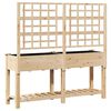 vidaXL Tr&auml;dg&aring;rdsplanterare Beige 161 x 46 x 152,5 cm Massivt Furu