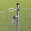 Produktminiatyrbild 5 av 17