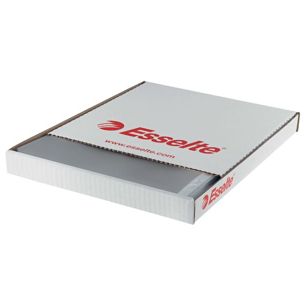 Esselte Kraftiga plastfickor 100 st A4