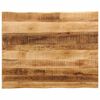 vidaXL Bordsskiva 100x80x3,8 cm levande kant massivt grovt mangotr&auml;
