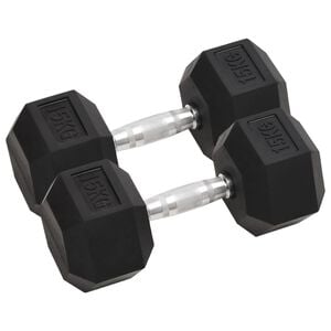 vidaXL Hantlar 2 st 15 kg totalt gjutj&auml;rn