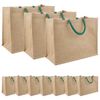 vidaXL Jutep&aring;sar 10 Naturlig och gr&ouml;n 42 x 33 x 19 cm 100% Tossa Jute