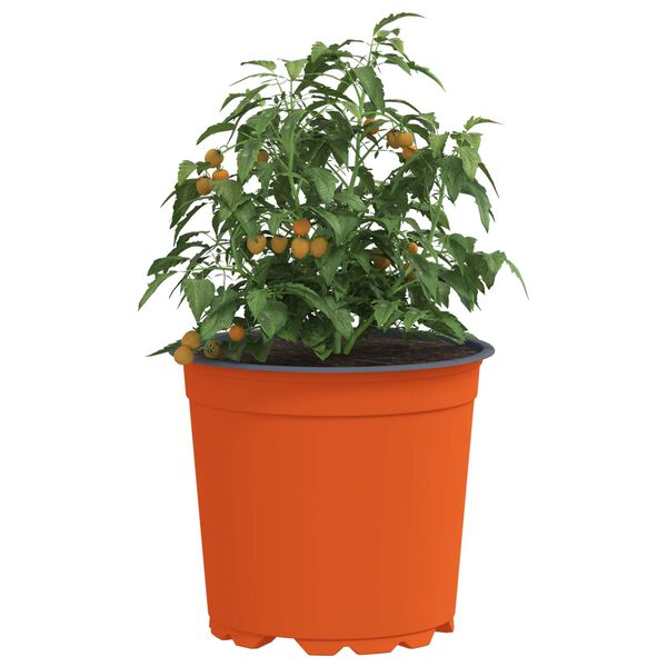 Visar produktbild 3 av 11