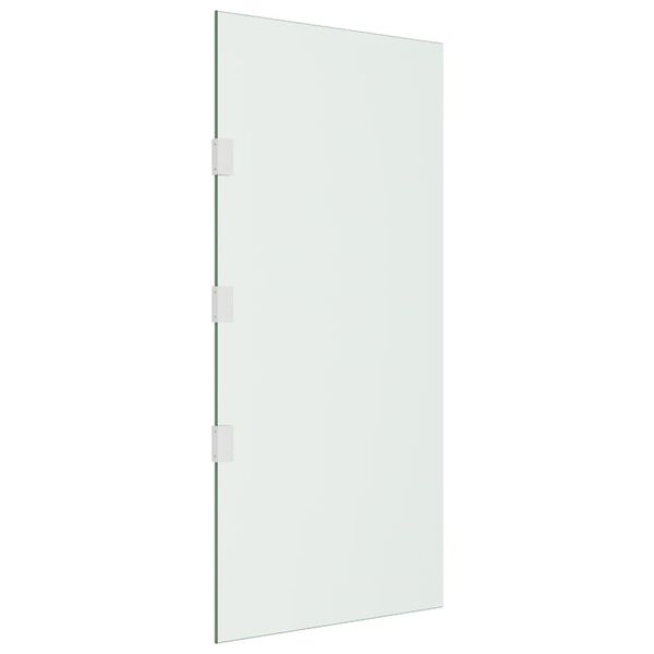 vidaXL Sidopanel f&ouml;r entr&eacute;tak transparent 50x100 cm h&auml;rdat glas