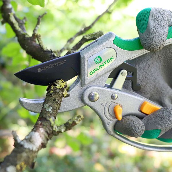 GR&Uuml;NTEK Sekat&ouml;r CACATOES med reglage 215 mm