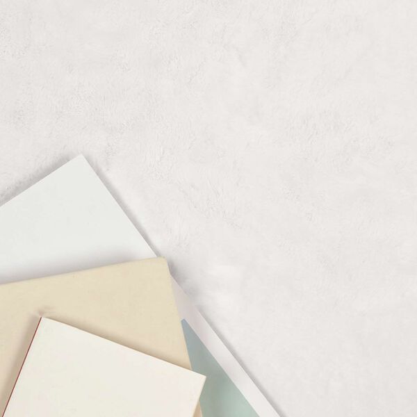 vidaXL Fusk-kaninp&auml;lsmatta Olite Vit 240 x 240 cm Polyester