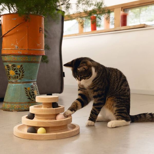 Designed by Lotte Leksakstorn f&ouml;r katt Mia 26x14,5 cm tr&auml;