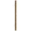 vidaXL V&auml;ggmonterad huvudgavel honungsbrun 206x3x63 cm massiv furu