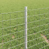 Produktminiatyrbild 4 av 14